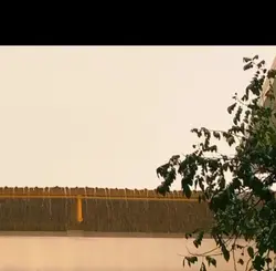 Credit my frnd clip