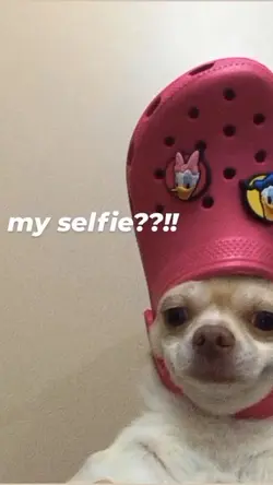 #myselfie?