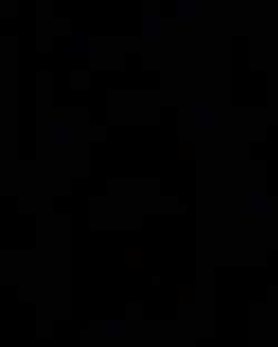 hololive template