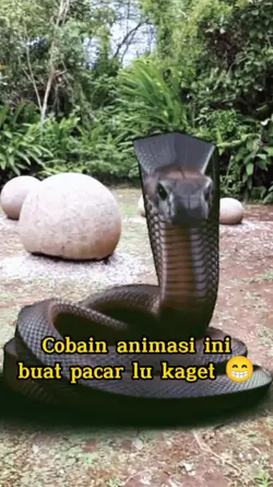 snake animation