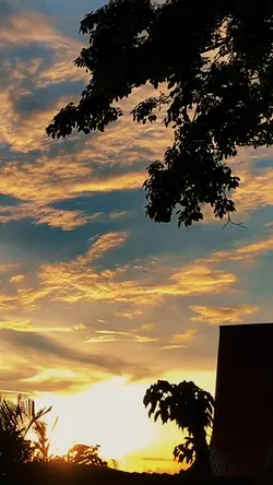 Video kamu 🔥