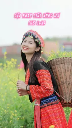 Mẫu 15 ảnh