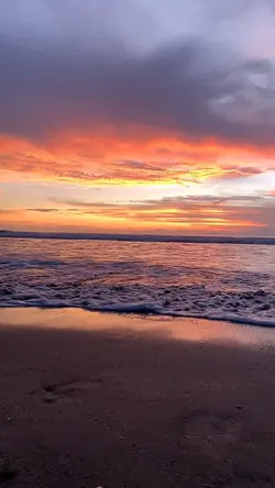 Vlog 