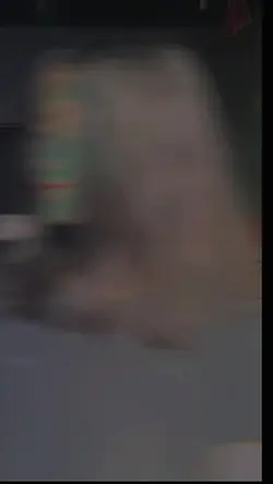 pakasalan