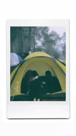 polaroid 