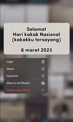 Hari kakak nasional