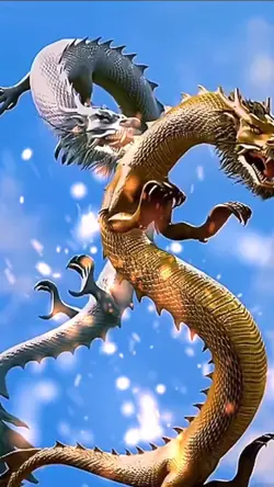 #DRAGON