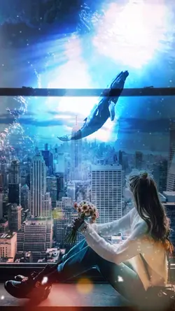 MAGIC WINDOWS