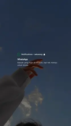 Story WhatsApp 
