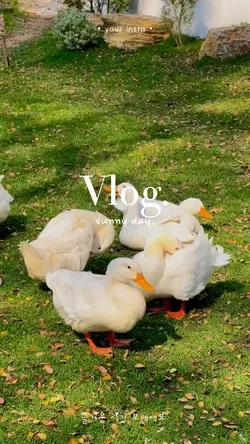 Cafe vlog