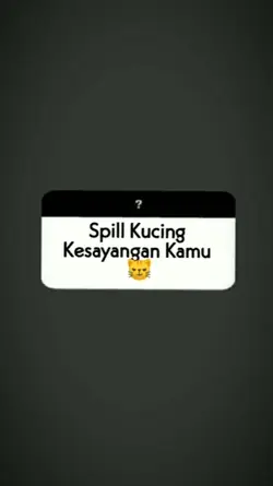 Spil Kucing 