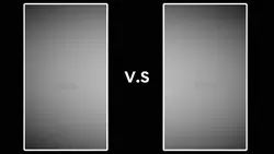 Name V.S Name