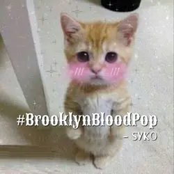 #BrooklynBloodPop
