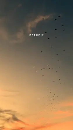 Peace 🕊