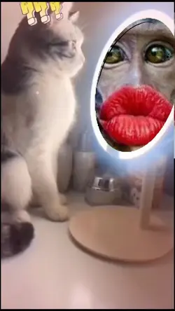 Kucing panik