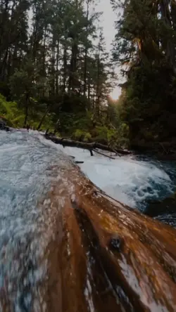 Danger beauty