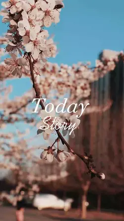 Today story vlog