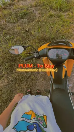 PLUM - To Stay