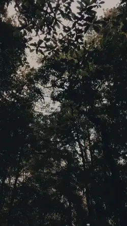 #Running