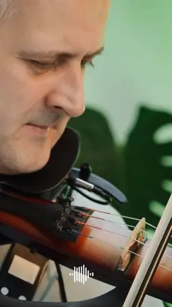 Music biola