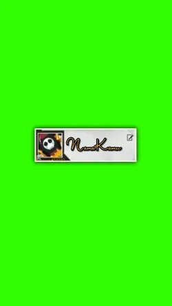profil ff keren