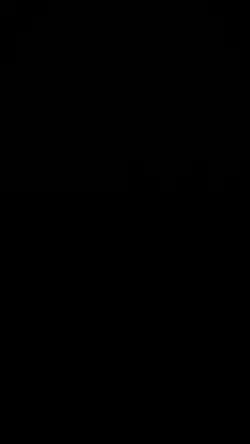 3 Clips