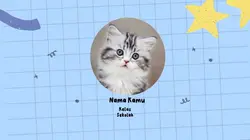 Opening video