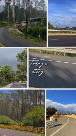 Today Story Grid