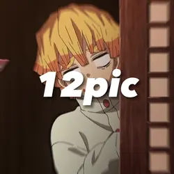 12pic