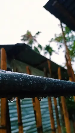 #nature