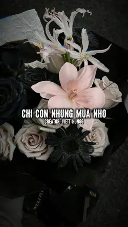 Chỉ còn những mùa nh