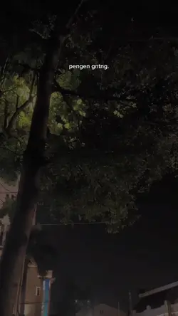 teks bisa diganti