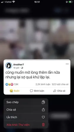 1 ảnh 