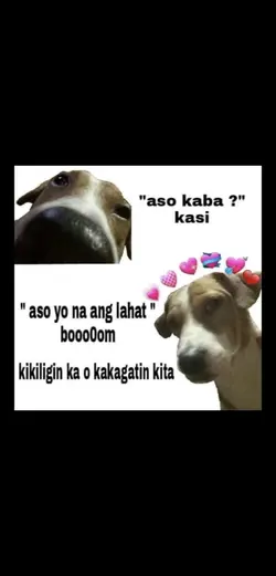 Aso daw