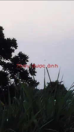 "Có người đến sẽ đến