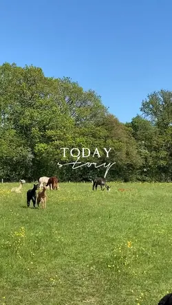mini vlog aesthetic