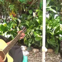 Soon to guitarist 