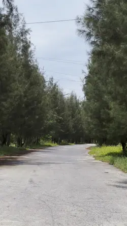 Ghép video kèm nhạc