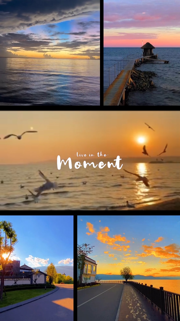 all template capcut video cut cut - Pippit