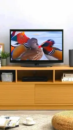 video tv