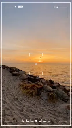 Transisi Filter