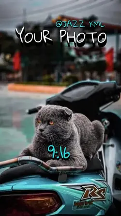 stolen picture