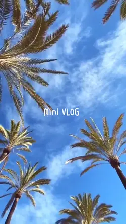 VLOG 04.11.2022