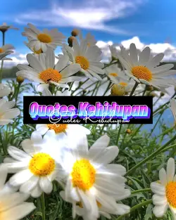 Quotes Kehidupan