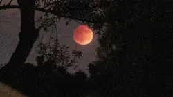 LUNAR ECLIPSE