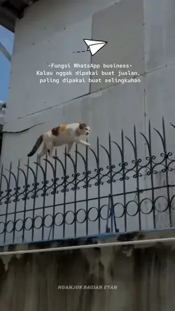 fungsi