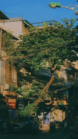 1 ảnh + vintage 