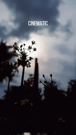 Cinematic