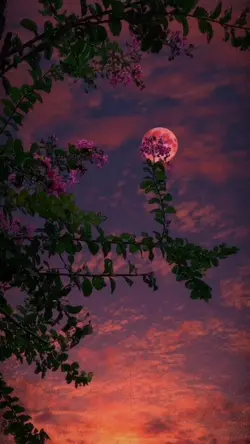 SONG :DU KINH