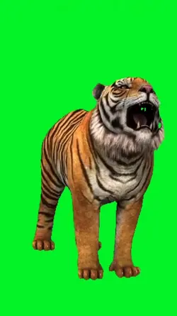 harimau 